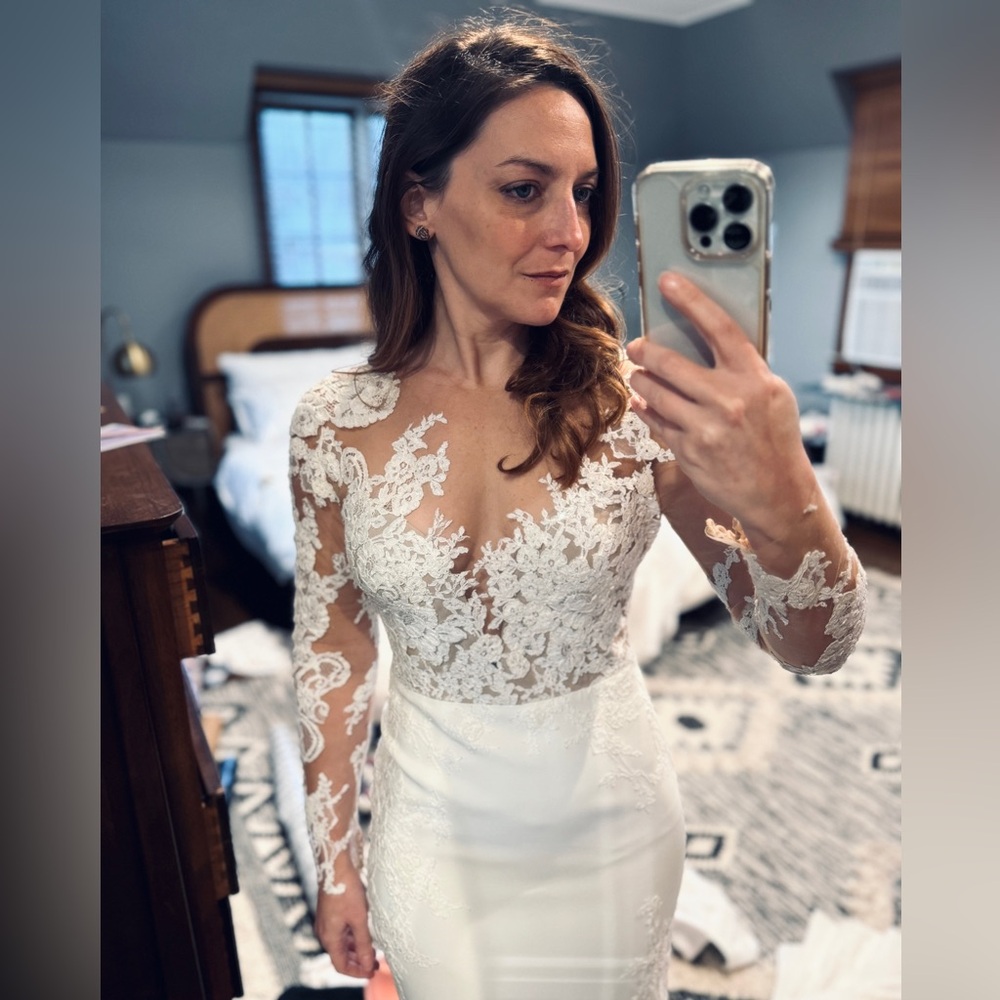 Pronovias Vicenta Wedding Gown